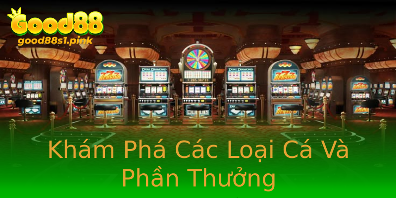 Khám Phá Các Loại Cá Và Phần Thưởng
