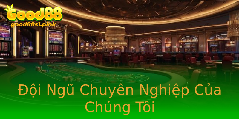 Đội Ngũ Chuyên Nghiệp Của Chúng Tôi